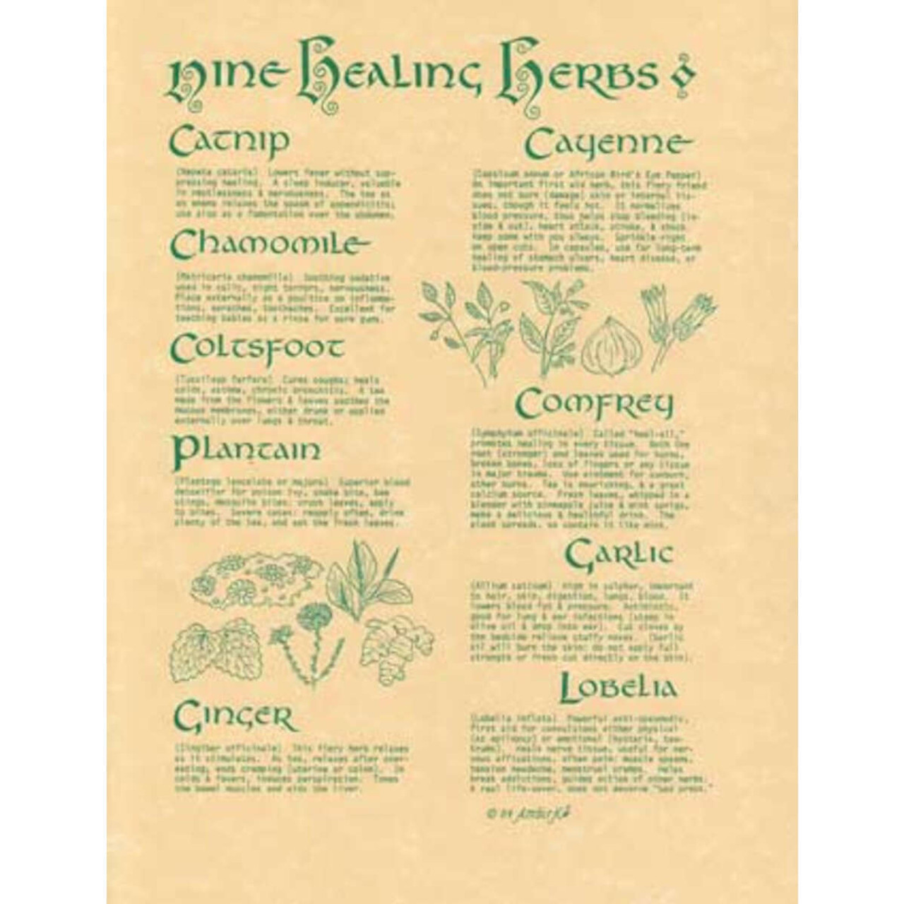 9 Herbs Poster