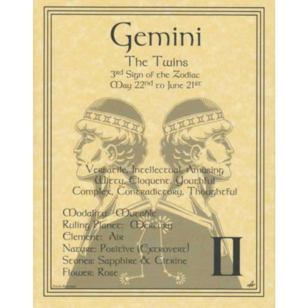 Gemini zodiac Poster