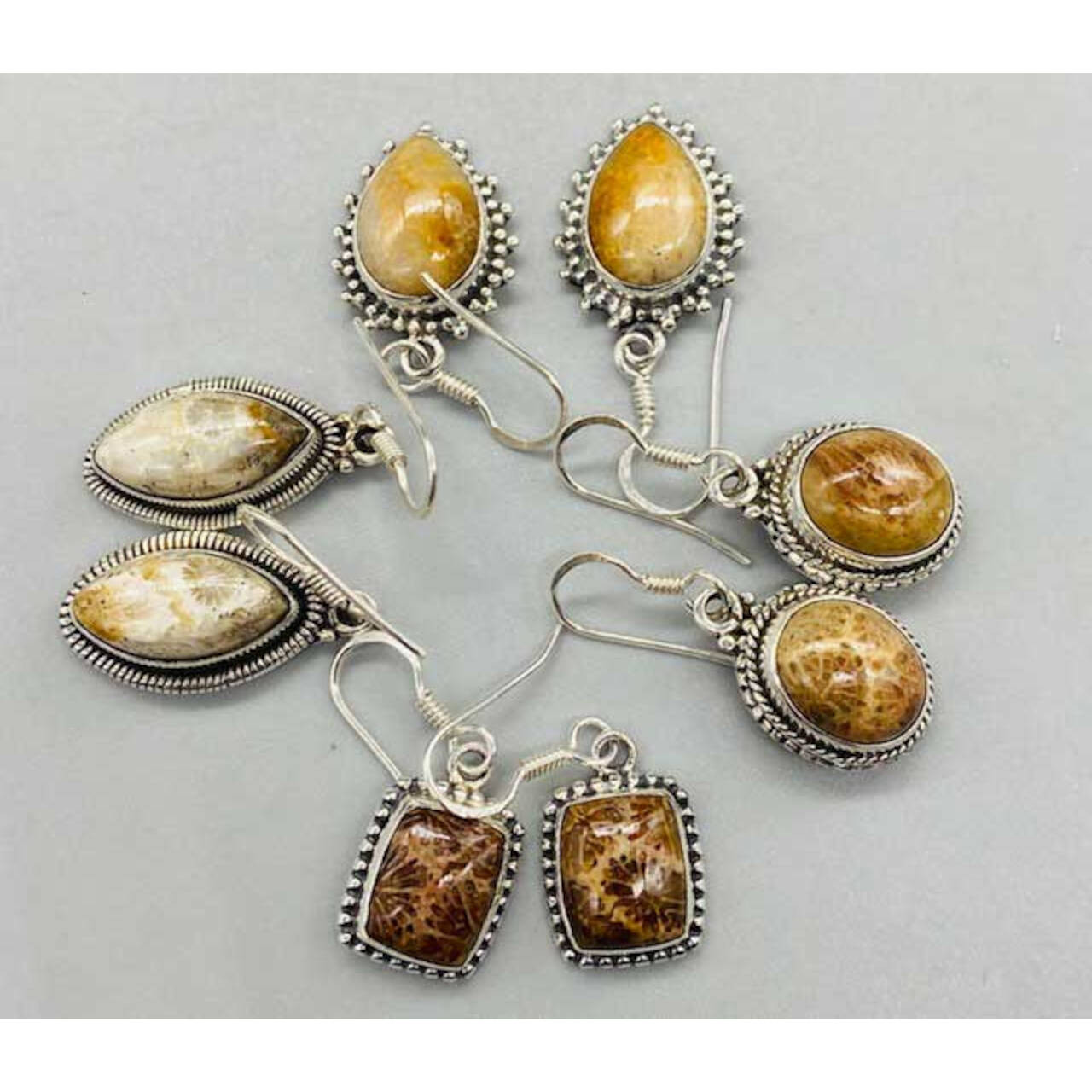 Fossil Coral Various Earrings