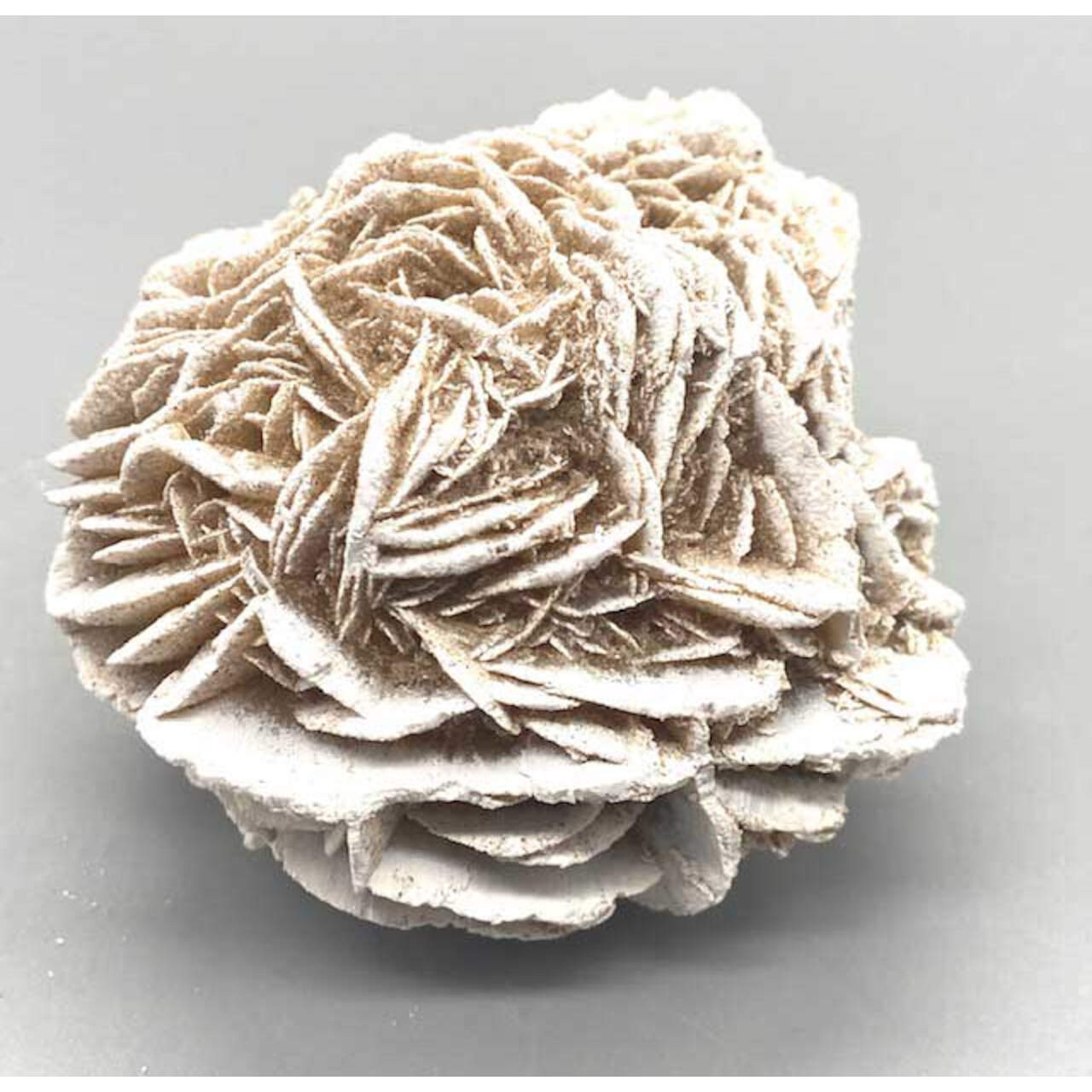 Desert Rose (2" To 3") 5 Lb.