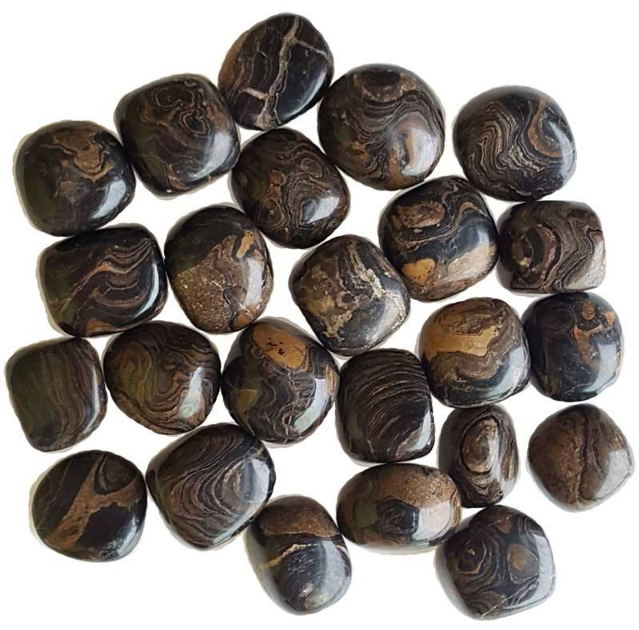 Stromatolite Tumbled Gemstones 1/4 lb.