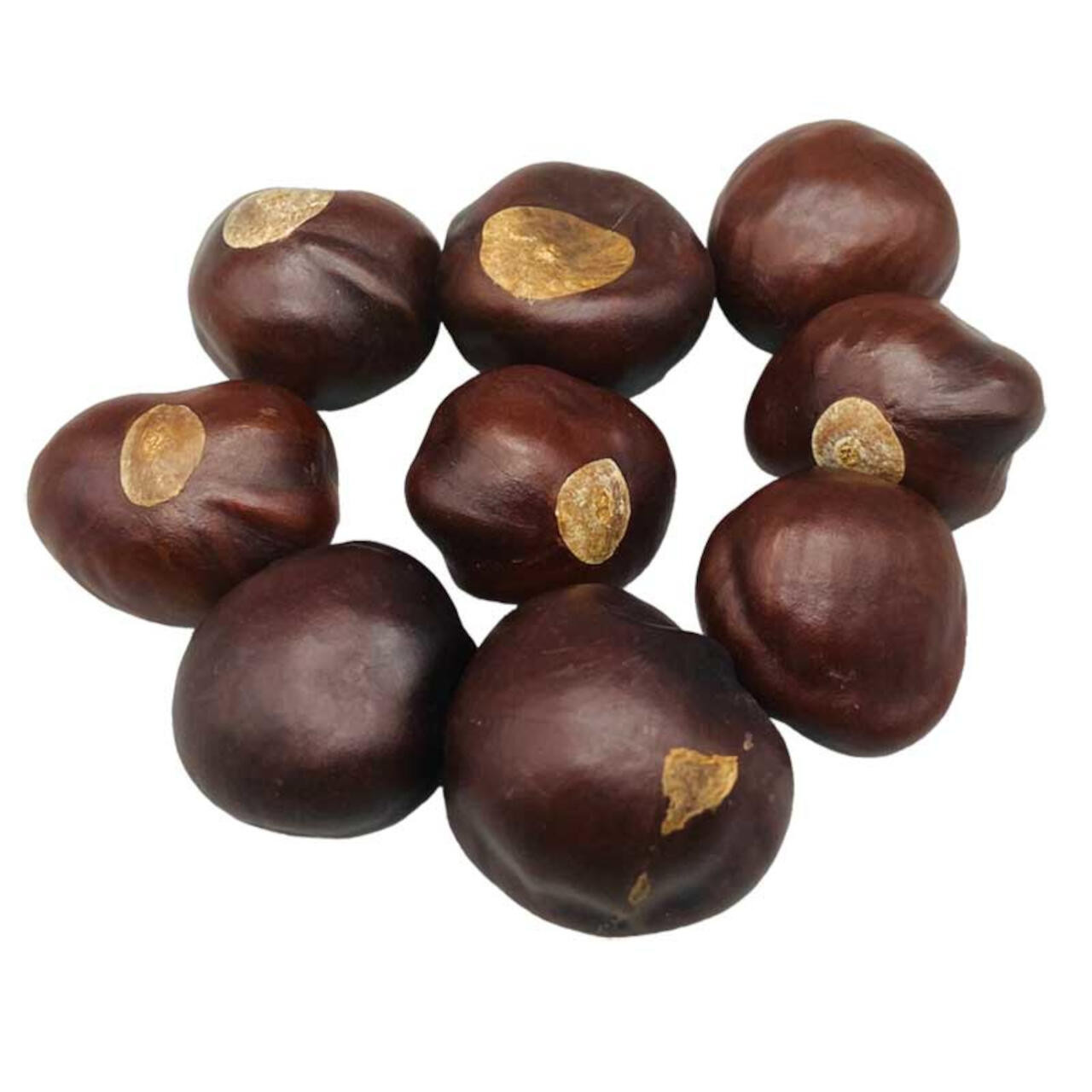 Buckeyes Whole 1 Lb