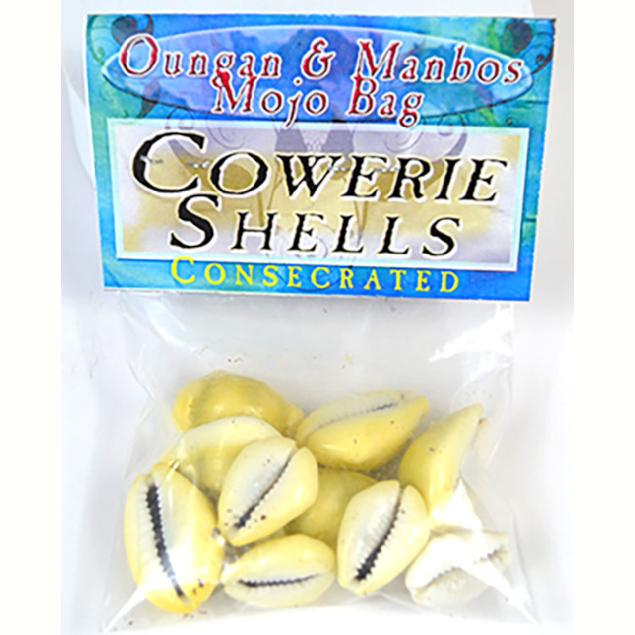 Cowrie Shells (Concha De Caliri) Consecrated