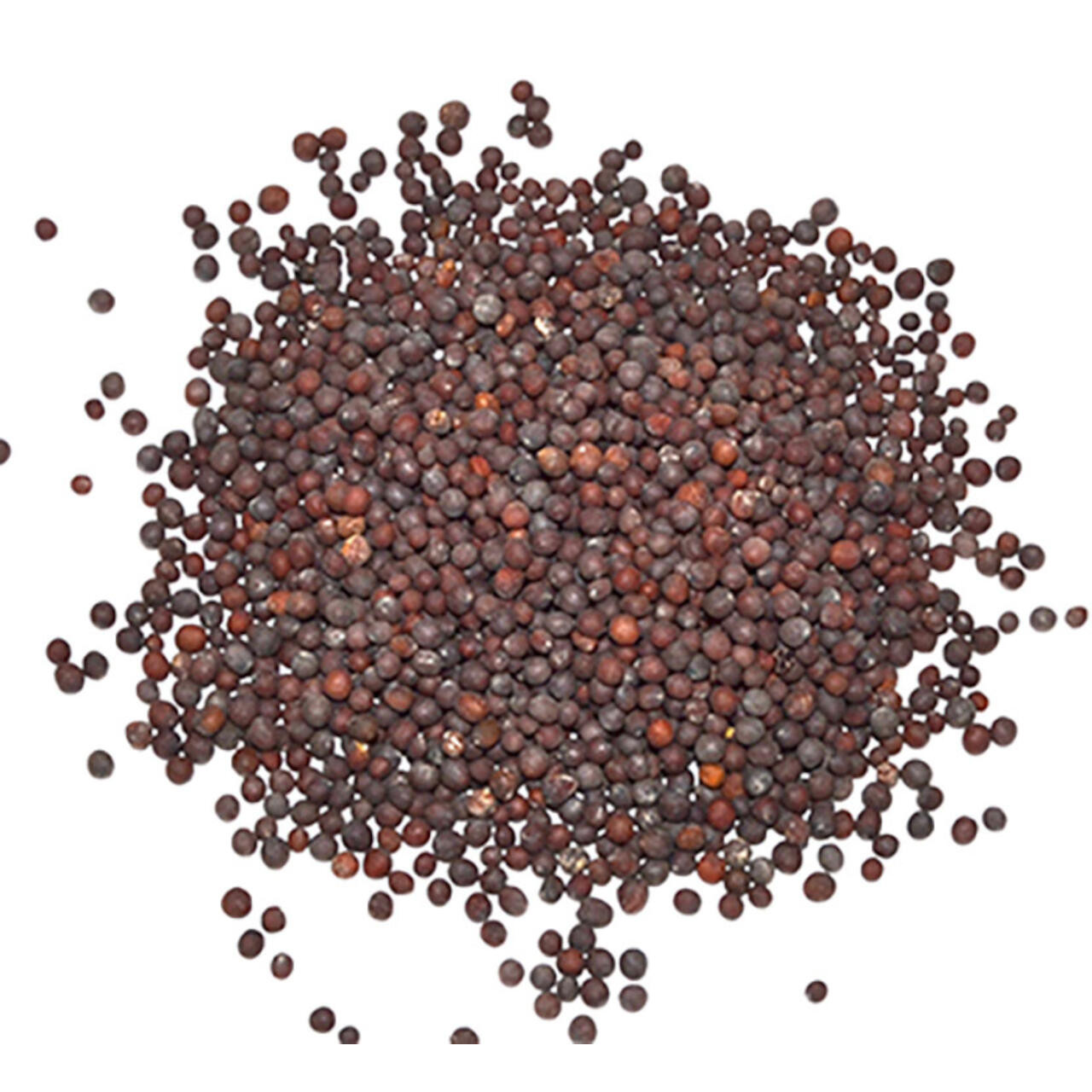 Brown Mustard Seed 1 Lb