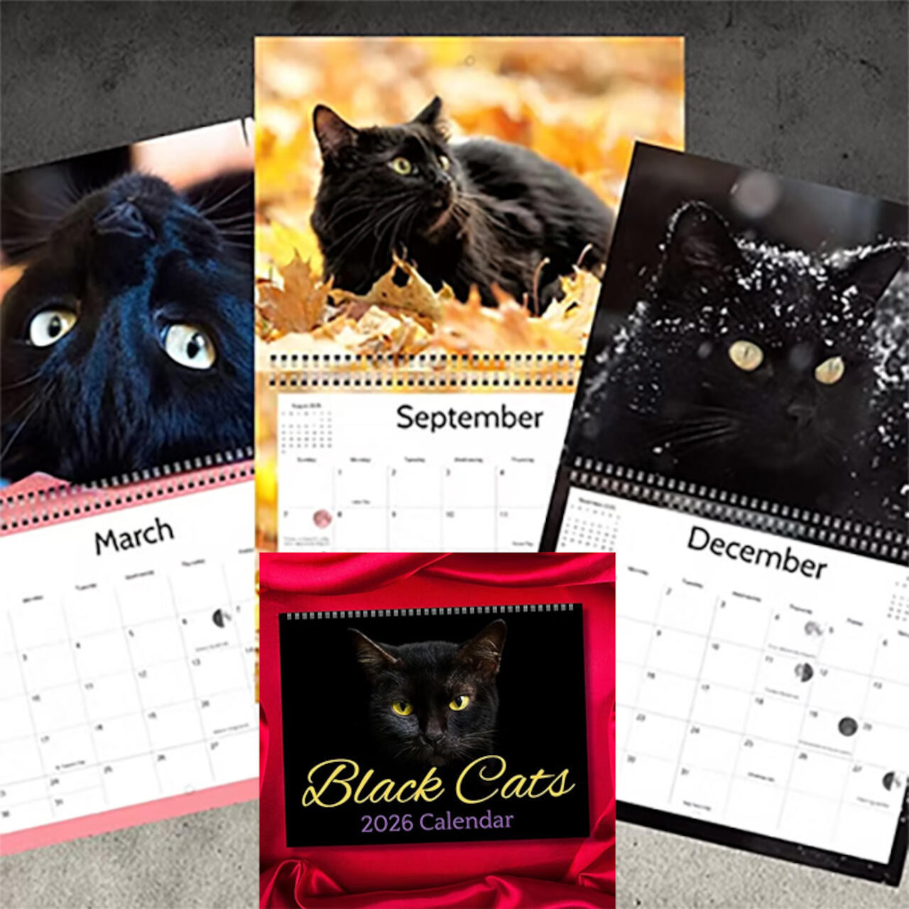 2026 Black Cat Calendar