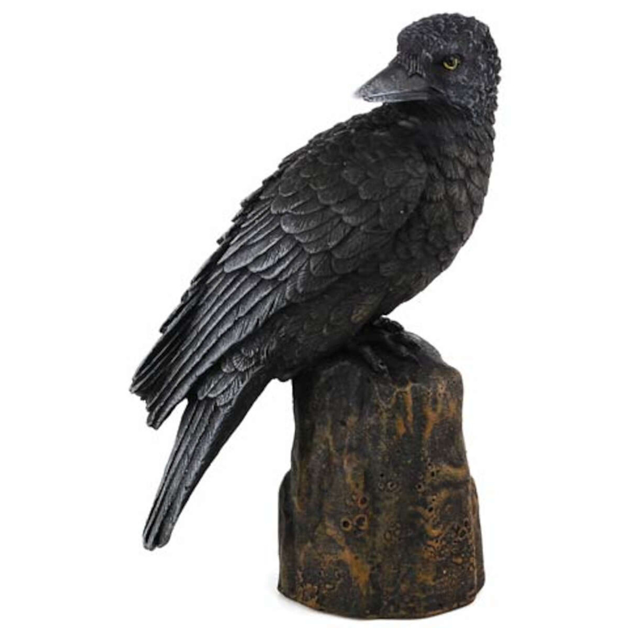 Raven Looking Back Statue 6"