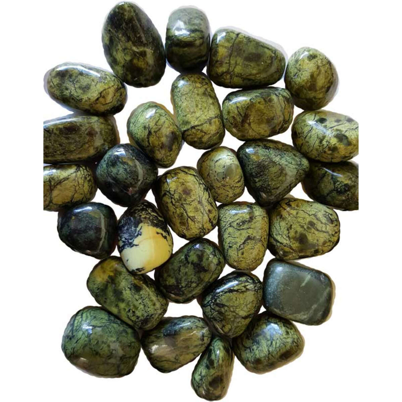 Asterite Serpentine Tumbled Gemstones 1 lb.
