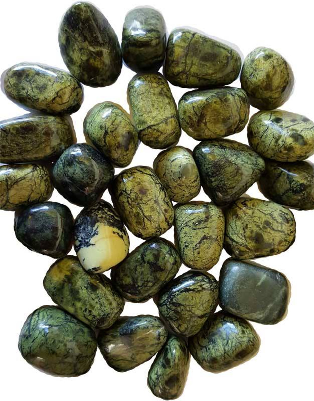 Asterite Serpentine Tumbled Gemstones 1/4 lb.