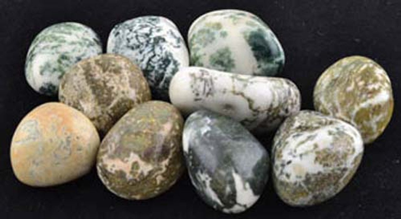 Tree Agate Tumbled Gemstones 1/4 lb.