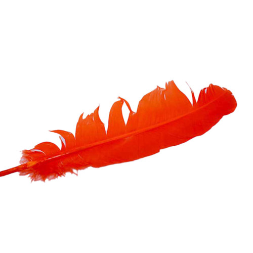 Orange Feather 12"
