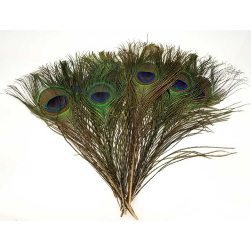 Peacock Feather (Set Of 100)