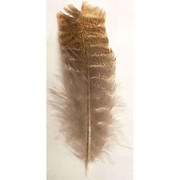 Barred Wing Smudging Feather 12 in.