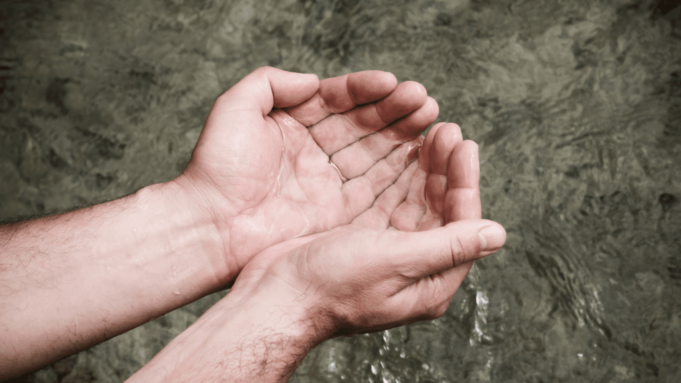 Unleashing the Power of Clean Water: The Environmental Benefits of Water Filters and Softeners Unleashing the Power of Clean Water: The Environmental Benefits of Water Filters and Softeners