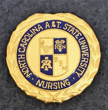 1" Nursing Pin (BSN Programs)
