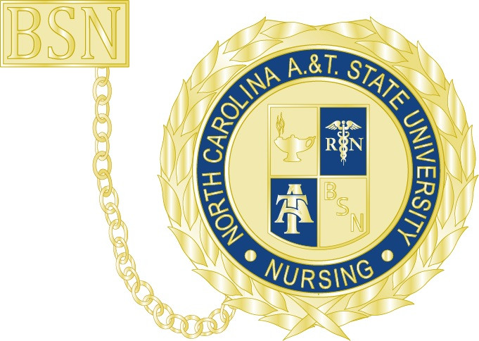 1" Nursing Pin w/ Guard