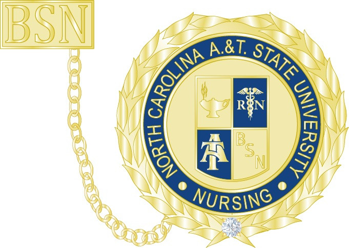 1" Nursing Pin w/ Guard & Diamond