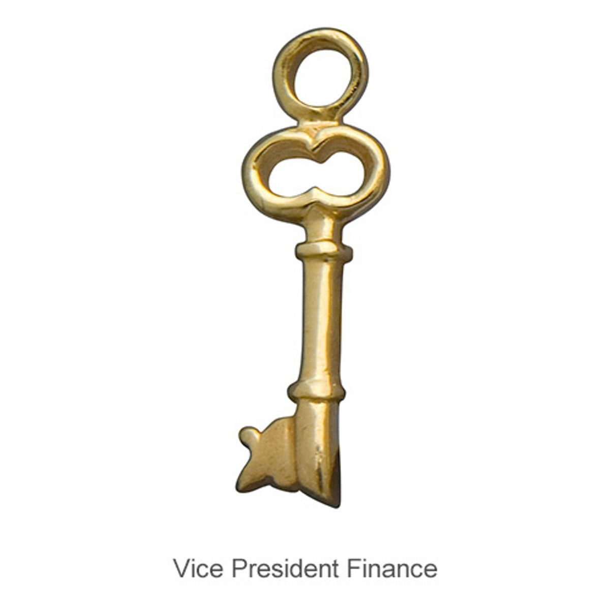 Vice President Finance