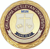 OKWU -MSN - Classic Nursing Pin