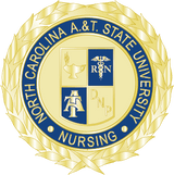 1" Nursing Pin (DNP Program)