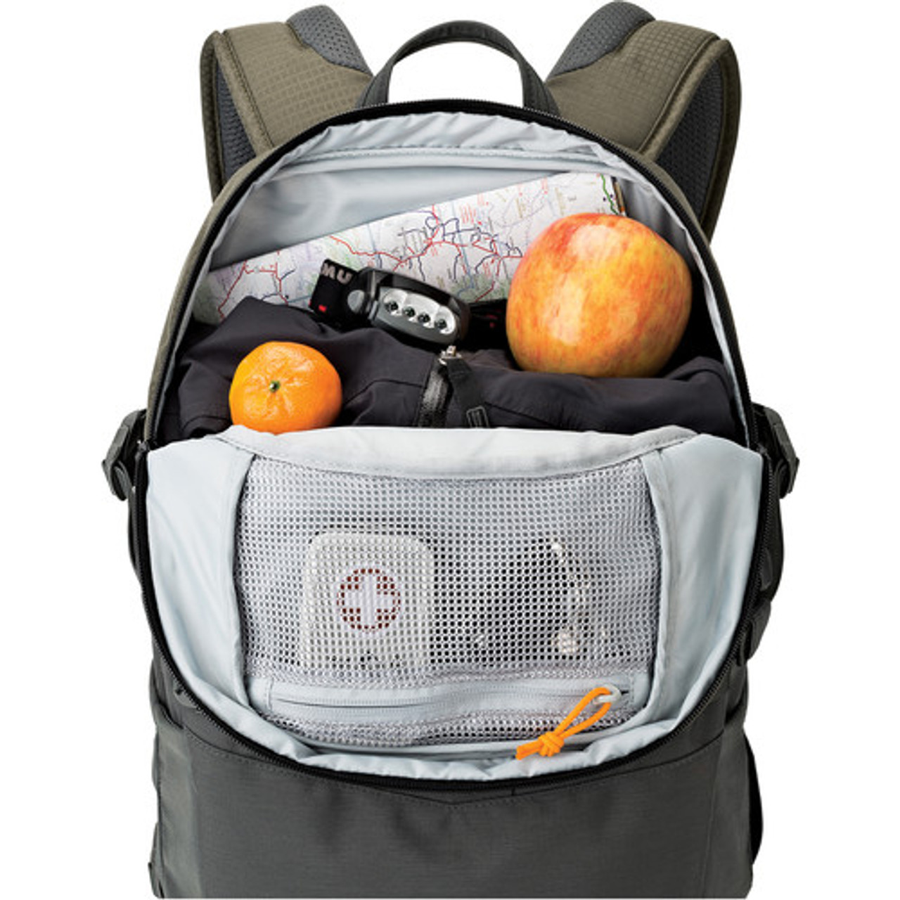 lowepro flipside 450 aw