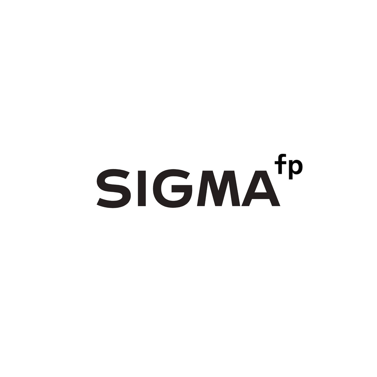 Sigma HG-11 Hand Grip | Bedfords.com