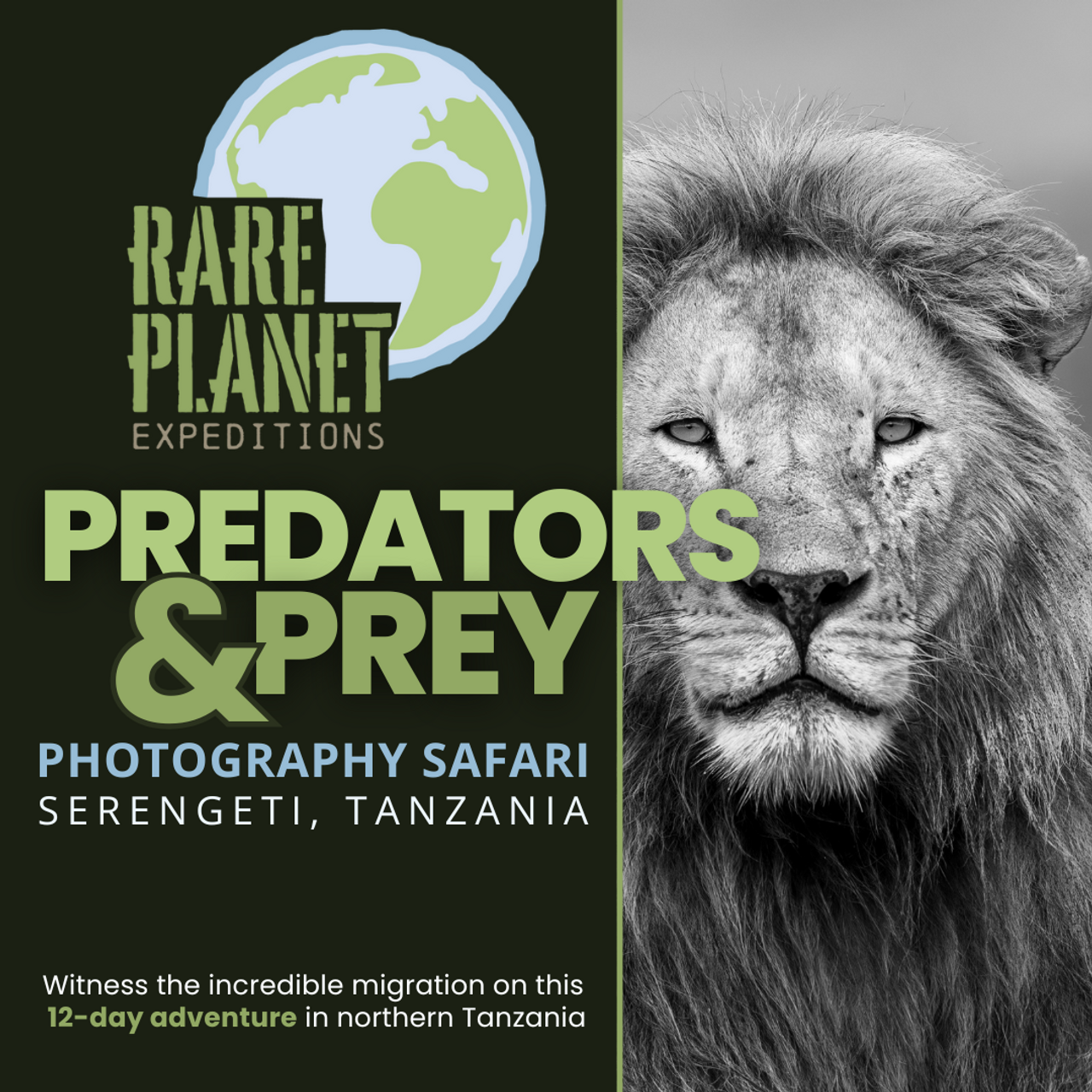 Rare Planet Expeditions: Predators & Prey Photography Safari