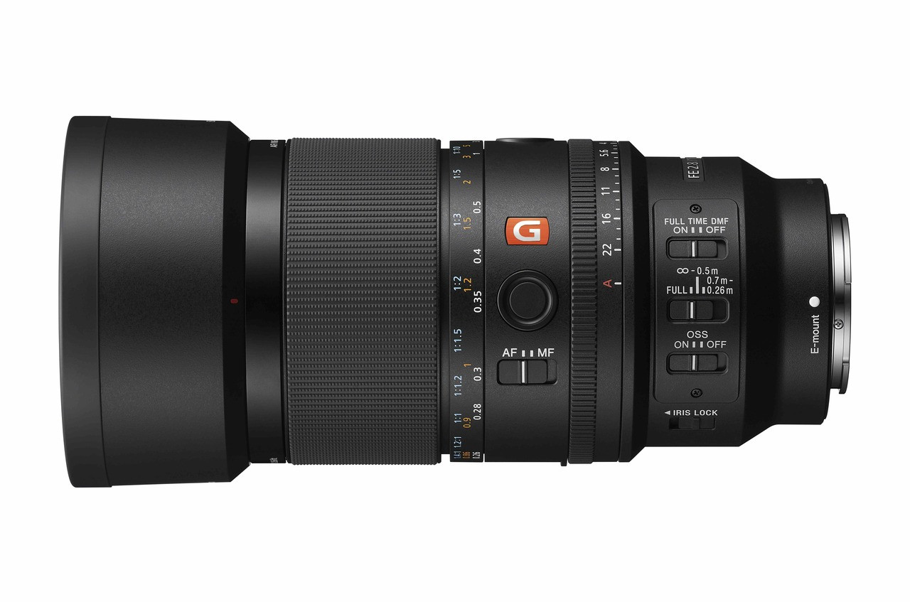 Sony FE 100mm f/2.8 Macro GM Lens