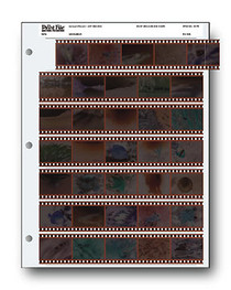 Print File 35-7B 35mm Negative Preservers (25 Pages)