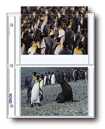 Print File 57-4P Print Preservers (25 Pack)