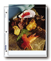 Print File 810-2P Print Preservers (25 Pack)