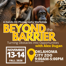 Beyond the Barrier: Turning Obstacles into Opportunities - Photo Workshop with Alex Dugan