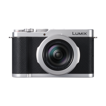 Panasonic LUMIX L10 Digital Camera (Silver)