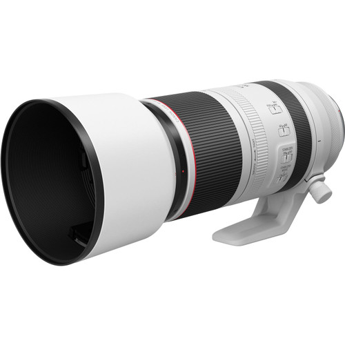 Canon RF 100-500mm F/4.5-7.1 L IS USM Lens | Bedfords.com