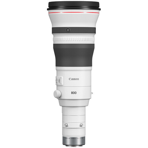 Canon RF 800mm f/5.6 L IS USM Lens | Bedfords.com