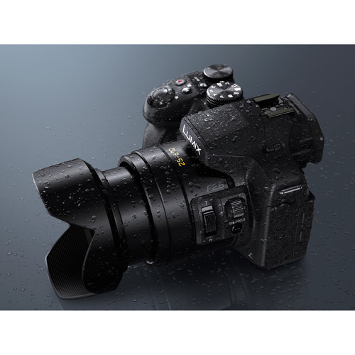 Pathologisch Aan boord het ergste Panasonic Lumix DMC-FZ300 Digital Camera | Bedfords.com