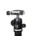 Promaster XC-M 522 Professional Carbon Fiber Tripod Kit with Head - SILVER