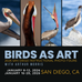 BIRDS AS ART 2026 San Diego Instructional Photo Tours with Arthur Morris