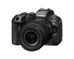 Canon EOS R6 Mark III with  RF 24-105mm F4-7.1 IS STM Lens