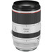 Canon RF 70-200mm F2.8 L IS USM Lens