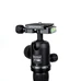 ProMaster XC-MH36 Ball Head (Black)