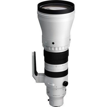 Sigma 300-600mm f/4 DG OS Sports Lens for L Mount | Bedfords.com