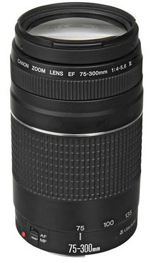 デジタルカメラ Canon EOS 6D Mark II/ Canon EF75-300mm Amazon.com : Canon EOS 6D Mark II DSLR Camera with 24-105mm f/4L