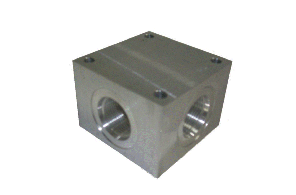 MANIFOLD-WTR-HIP-TRUNK 1