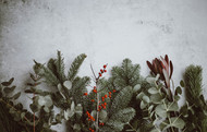 How to Prepare Your Salon for Christmas Party Season 2025
