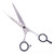 Kobe Classic 22 Hairdressing Scissors