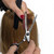 Kobe Genesis Hairdressing Scissor, Thinner, and Razor Set in use on a person's hair for haircutting and styling.