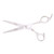 Matakki Arrow Hairdressing Scissor, professional stainless steel hair cutting scissors with sleek silver finish and ergonomic design.