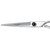 Matakki Dragon Hairdressing Scissor, shiny silver professional haircutting scissors with ergonomic handle design.