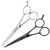 Joewell Cobalt Hairdressing Scissors