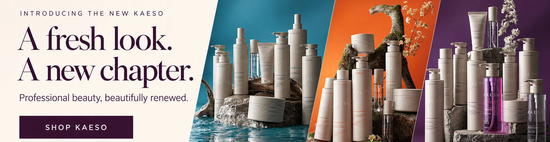 NEW Kaeso Products